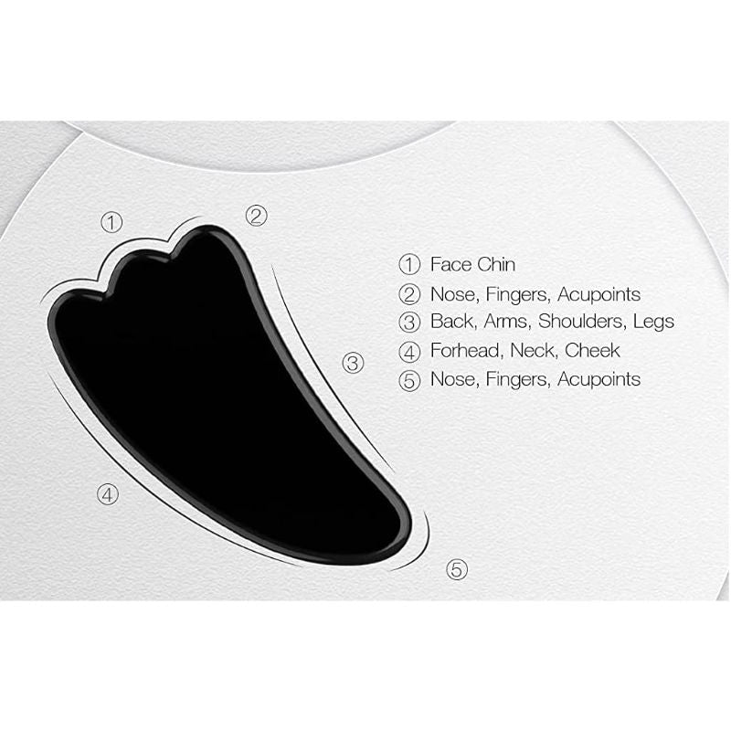 Black Obsidian Wing Shape Gua Sha Facial Massage Tool (1 pcs)