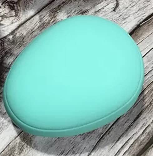 Egg Shape Detangling Hair Brush (Pack of 2)
